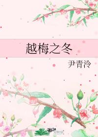 Winter of Plum Blossom